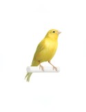 NATURAL DOG - GRAIN FREE TROTA
