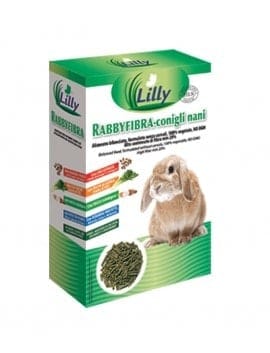 LiLLY - RABBYFIBRA Dwarf Rabbits