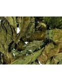 RABBY - Conigli nani 500g