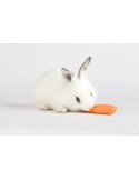 RABBYFIBRA Conigli nani 750g