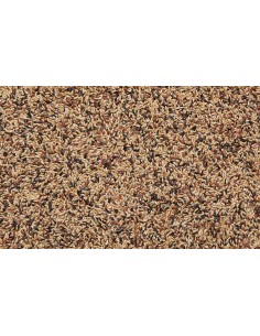 RABBY - Conigli nani 500g