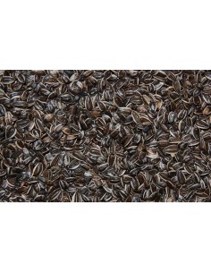 RABBY - Conigli nani 500g