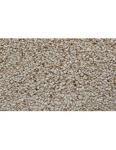RABBY - Conigli nani 500g