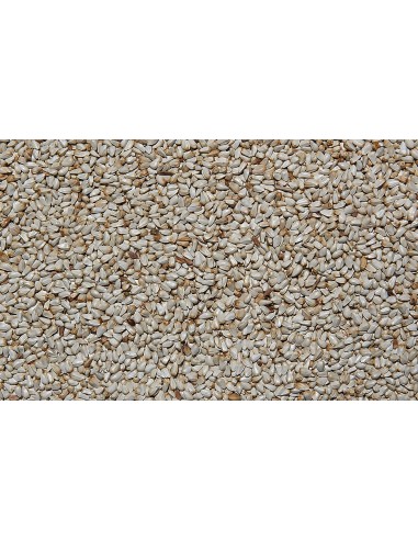 RABBY - Conigli nani 500g